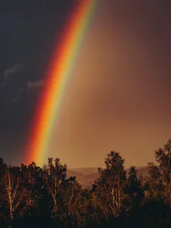 Zelené stromy pod modrou oblohou za dne