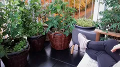 Relaxační chvíle na balkoně s květináči a zelenými rostlinami, nohy na stoličce.