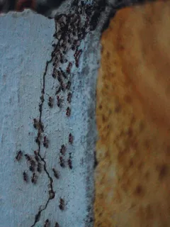 hnědočerný abstraktní obraz na plátně