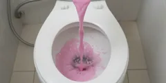 Růžová tekutina se nalévá do záchodové mísy během čištění toalety.
